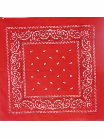 Bandana / boerenzakdoek met klassieke paisley print