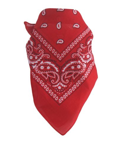 Bandana / boerenzakdoek met klassieke paisley print
