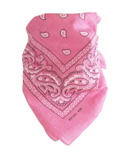 Bandana / boerenzakdoek met klassieke paisley print