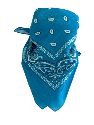 Bandana / boerenzakdoek met klassieke paisley print