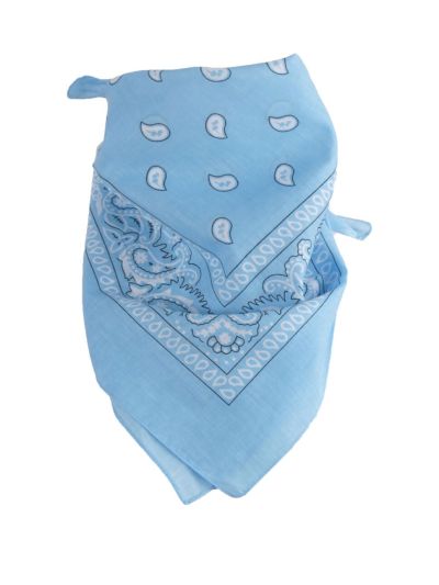 Bandana / boerenzakdoek met klassieke paisley print