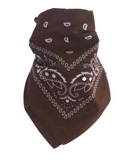 Bandana / boerenzakdoek met klassieke paisley print