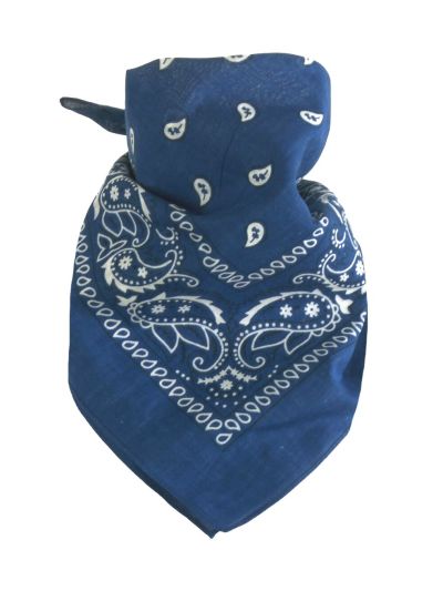 Bandana / boerenzakdoek met klassieke paisley print