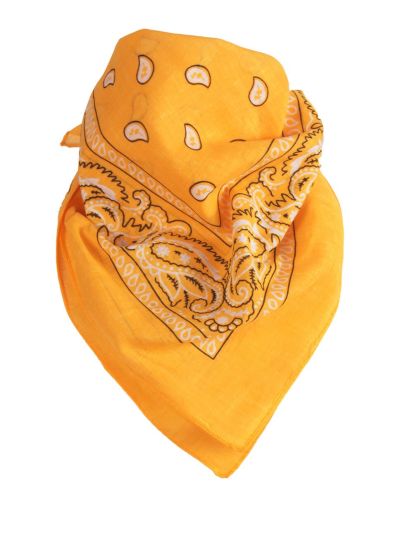 Bandana / boerenzakdoek met klassieke paisley print
