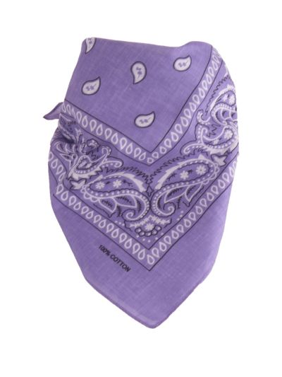 Bandana / boerenzakdoek met klassieke paisley print