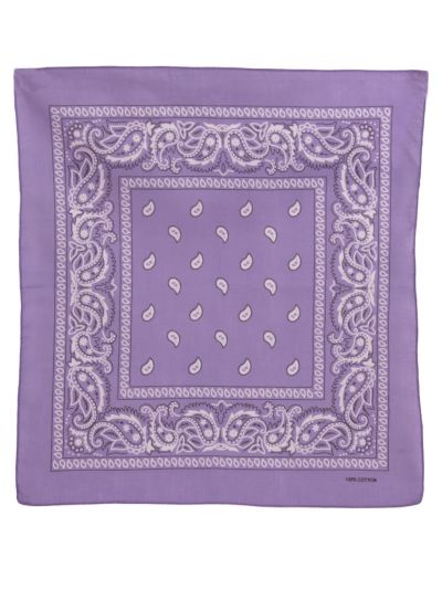 Bandana / boerenzakdoek met klassieke paisley print