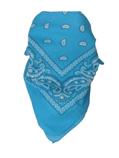 Bandana / boerenzakdoek met klassieke paisley print