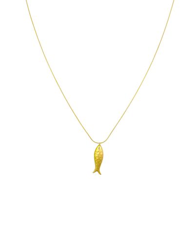 Lange ketting met vis