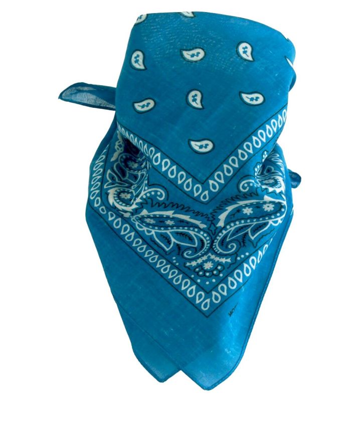 Bandana / boerenzakdoek met klassieke paisley print in donker turquoise