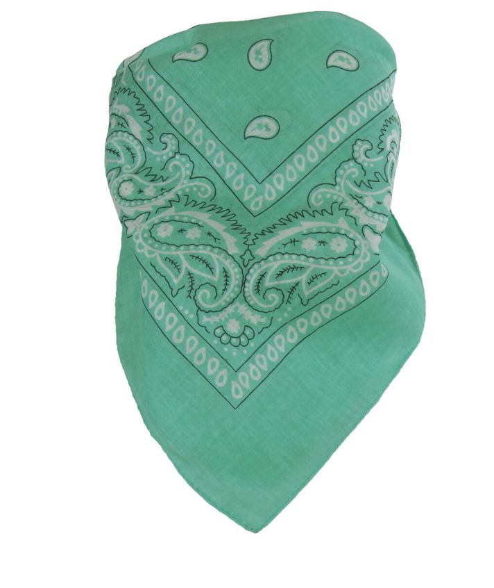 Bandana / boerenzakdoek met klassieke paisley print in mintgroen